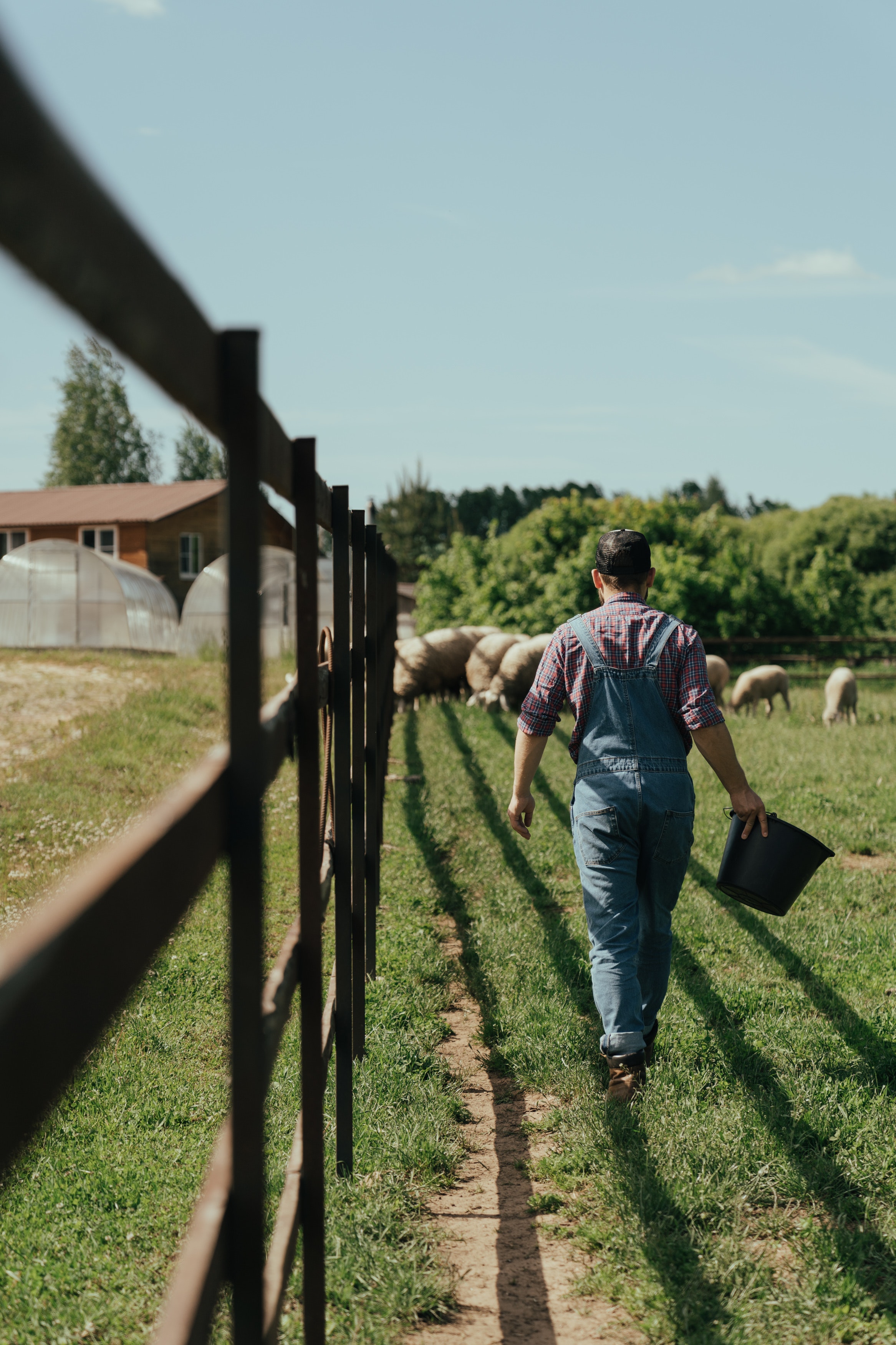 Страничка фермера - передовой опыт по ведению хозяйства