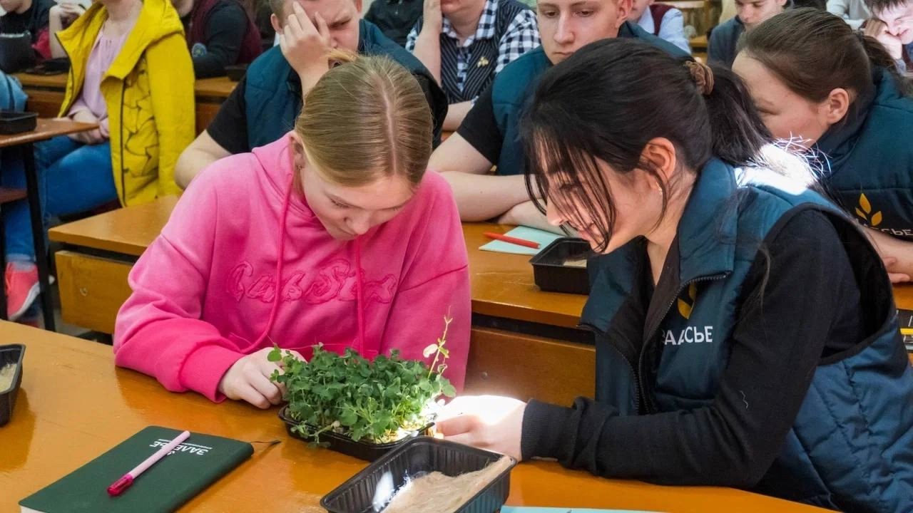 Лучший проект курса «Растения будущего» — работа агротехклассников из Переславского