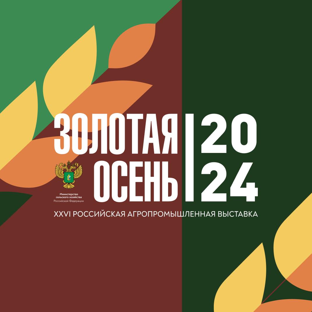 "Золотая осень": осенние каникулы в агростиле