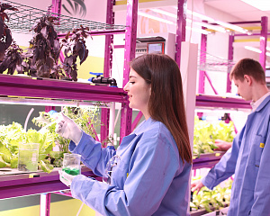 В Ставрополье появилось ещё пять агротехклассов