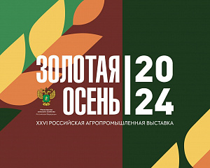 "Золотая осень": осенние каникулы в агростиле