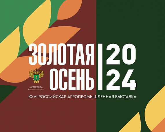 "Золотая осень": осенние каникулы в агростиле